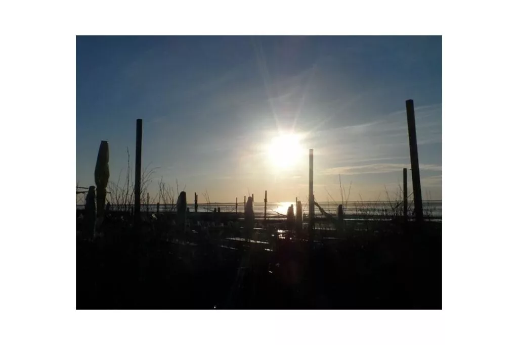 310188-Niet-getagd