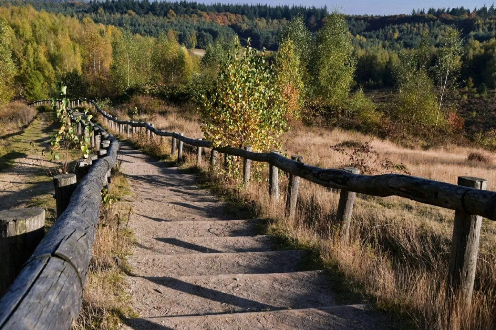 Vakantiepark de Thijmse Berg 11-Parkfaciliteiten