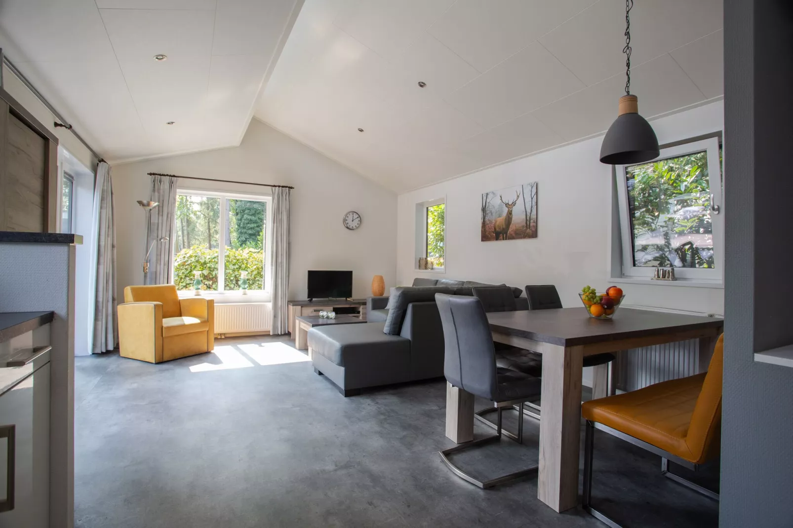 Vakantiepark De Thijmse Berg 16-Woonkamer