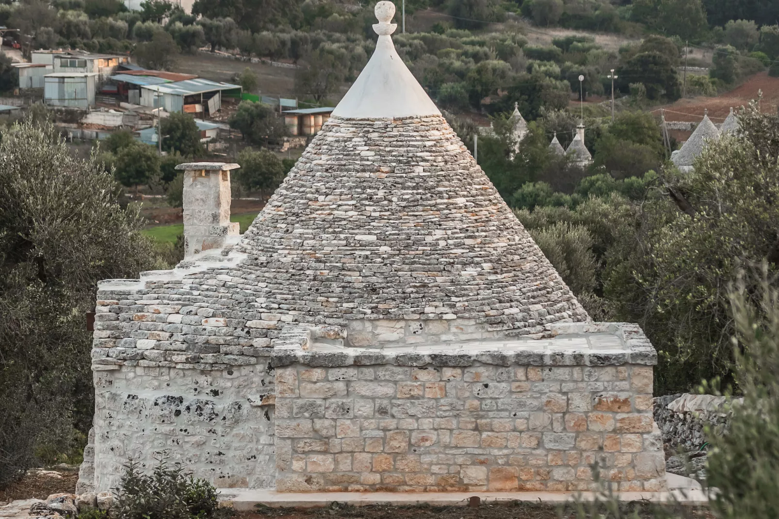 Luxury Trullo Termetrio in Cisternino-Buitenkant zomer
