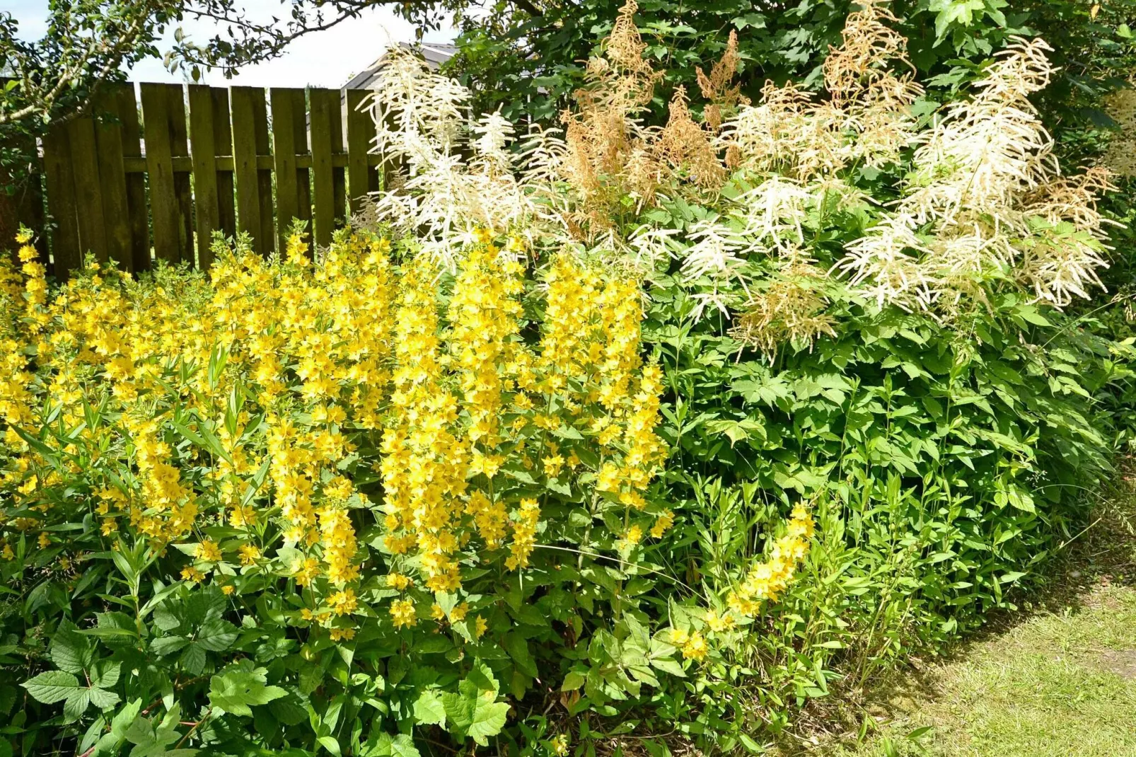 4 persoons vakantie huis in Otterup