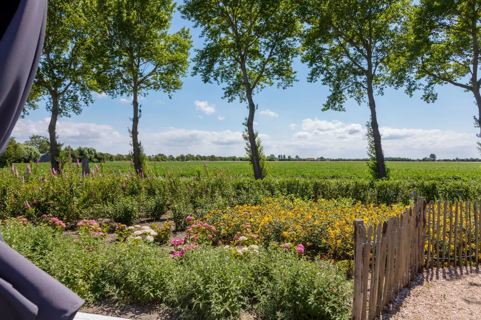 Lepelstraat 18A  Vrouwenpolder "'t Blauwtje"-Tuinen zomer