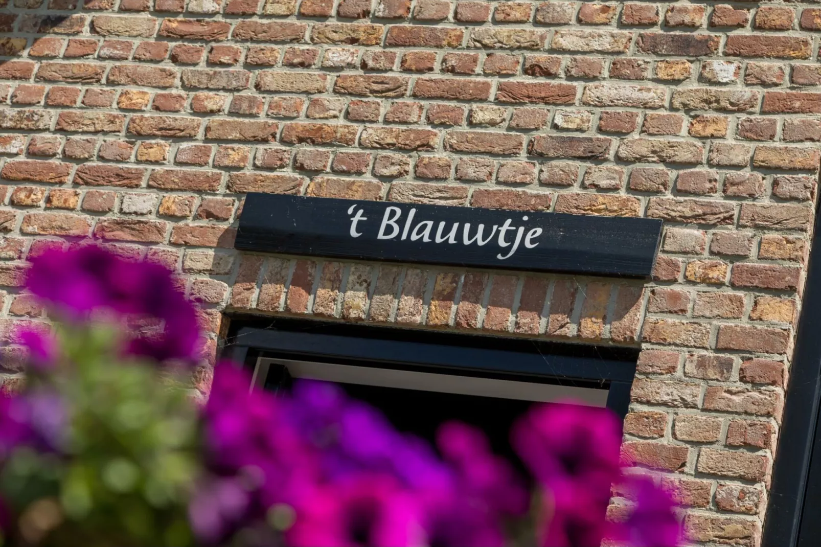 Lepelstraat 18A  Vrouwenpolder "'t Blauwtje"-Sfeer