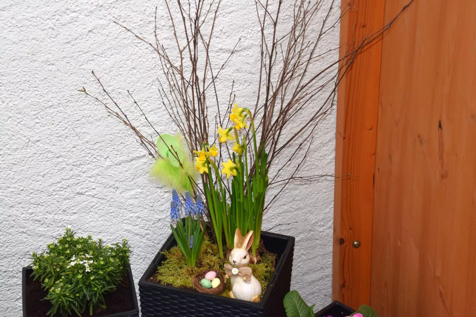 Ferienhaus Auszeit - Für Naturgenuss und Erholung-Sfeer