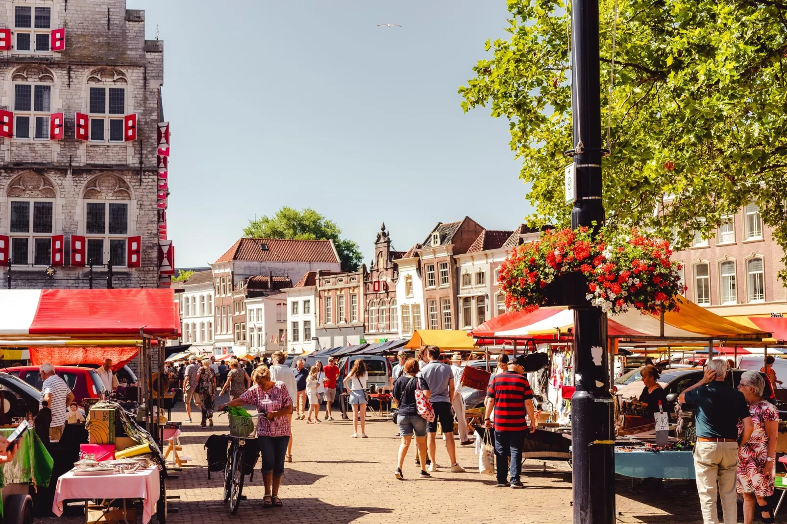Vakantiepark Cape Helius 24-Gebieden zomer 20km