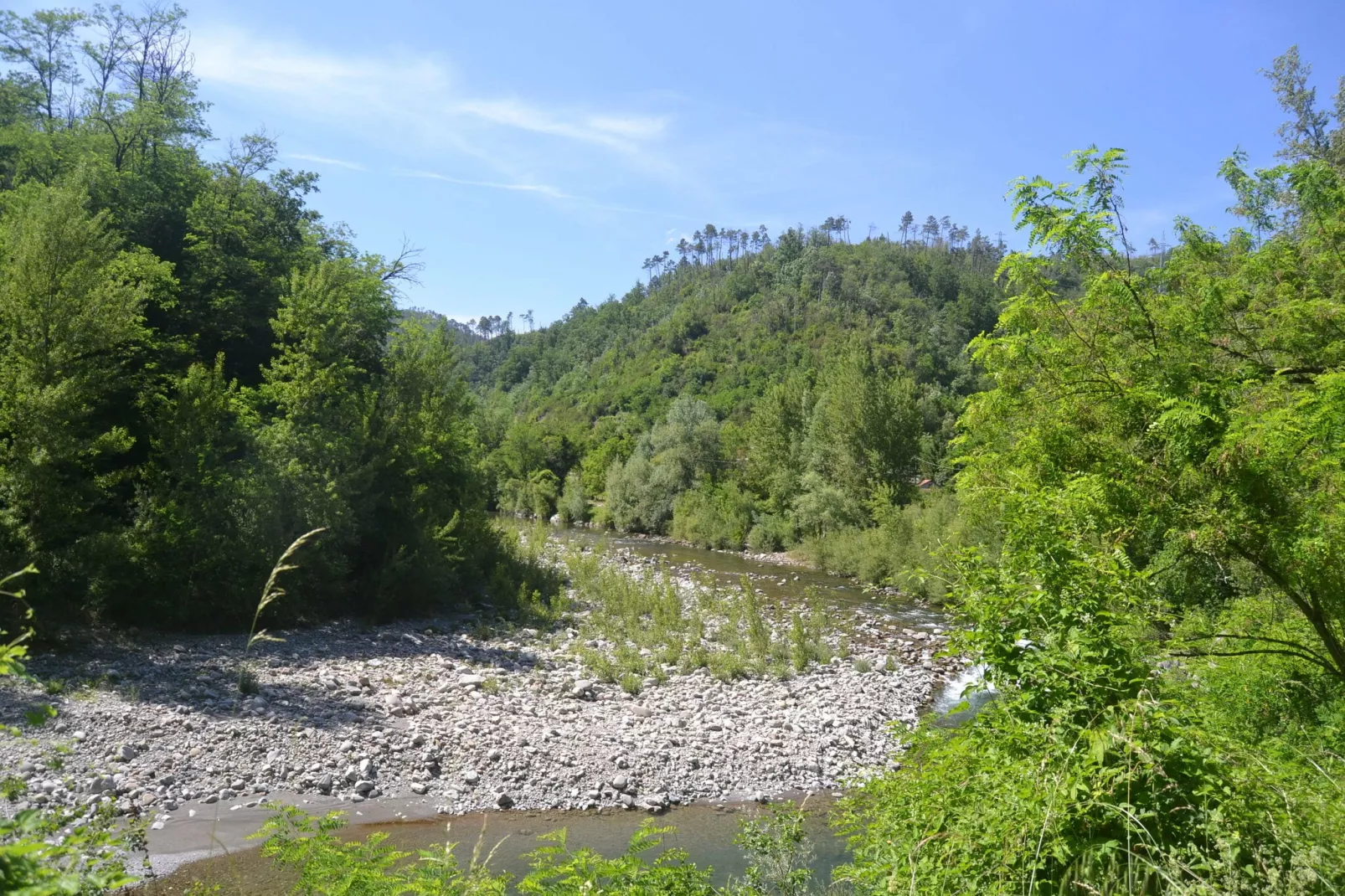 Angie-Gebieden zomer 1km
