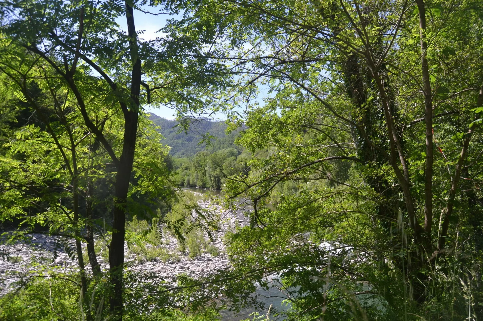 Angie-Gebieden zomer 1km