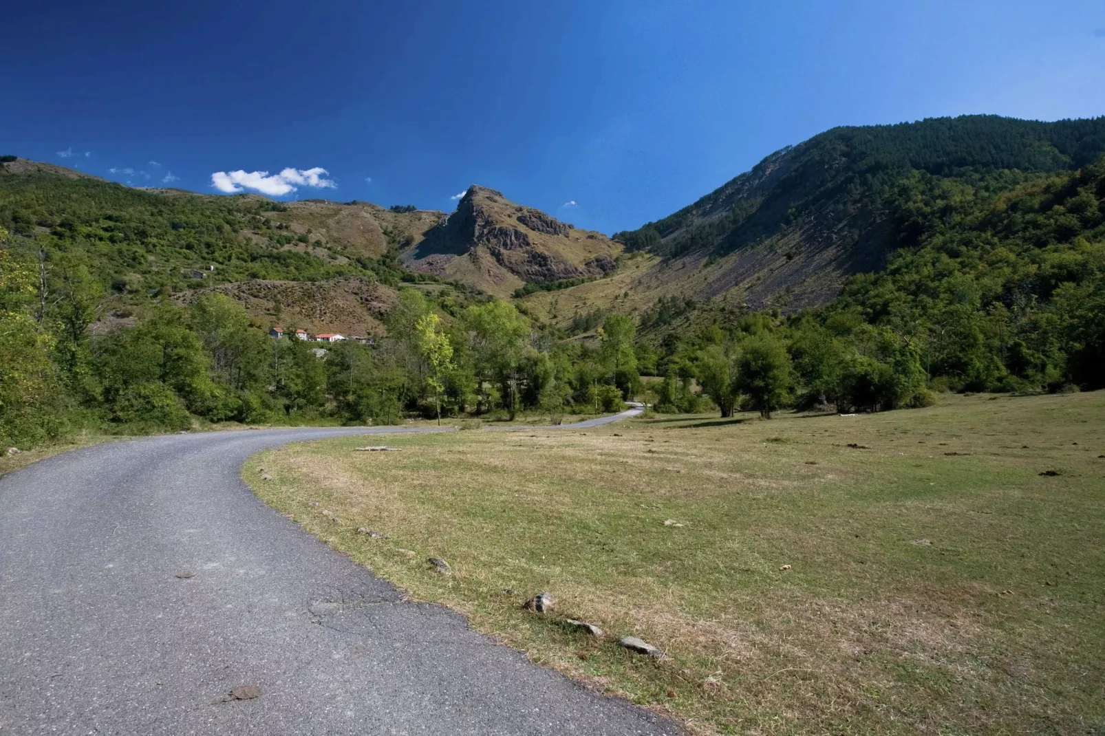 Angie-Gebieden zomer 1km