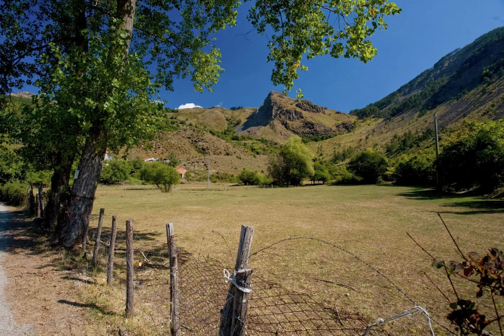Angie-Gebieden zomer 5km