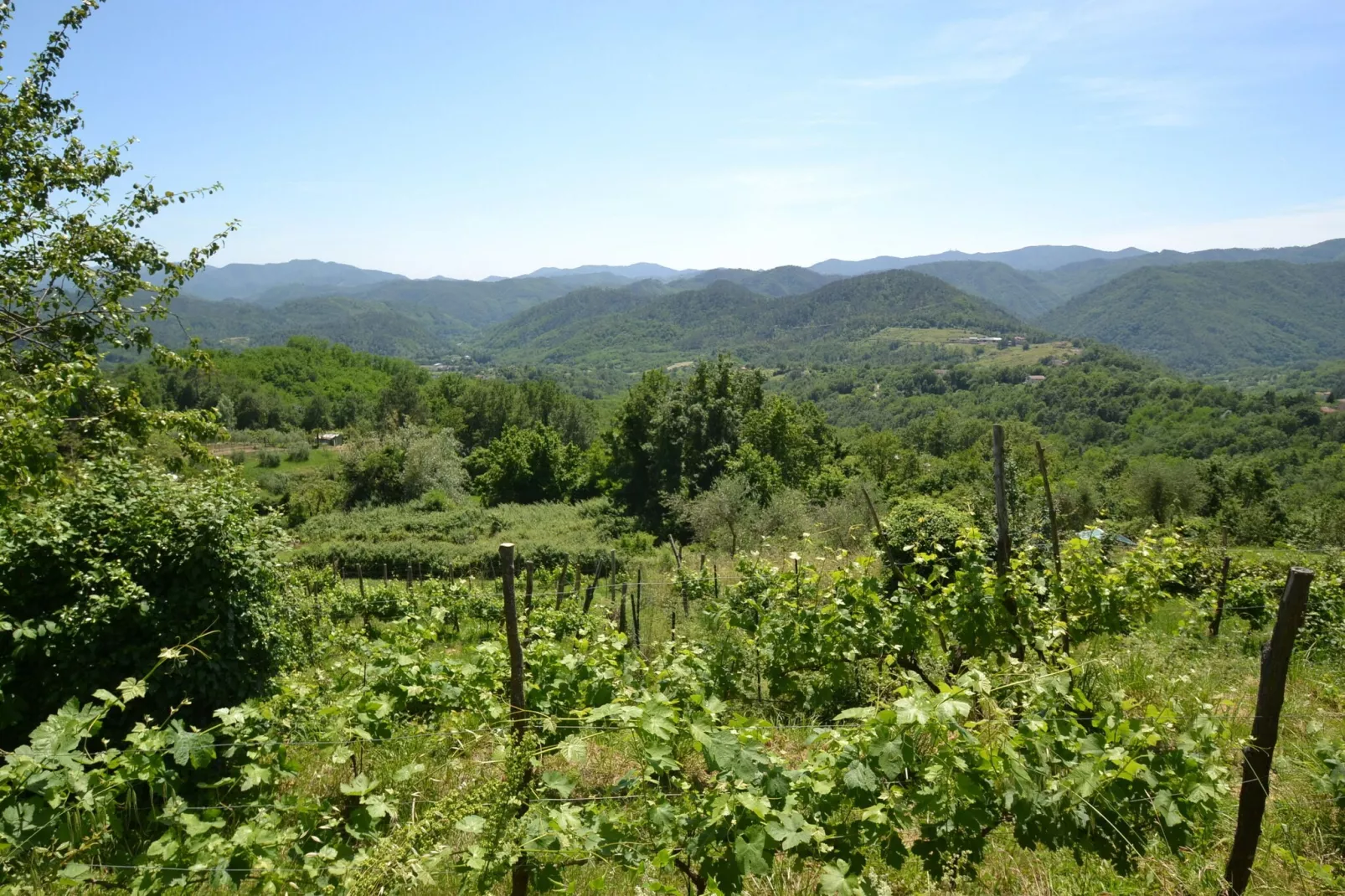Angie-Gebieden zomer 5km