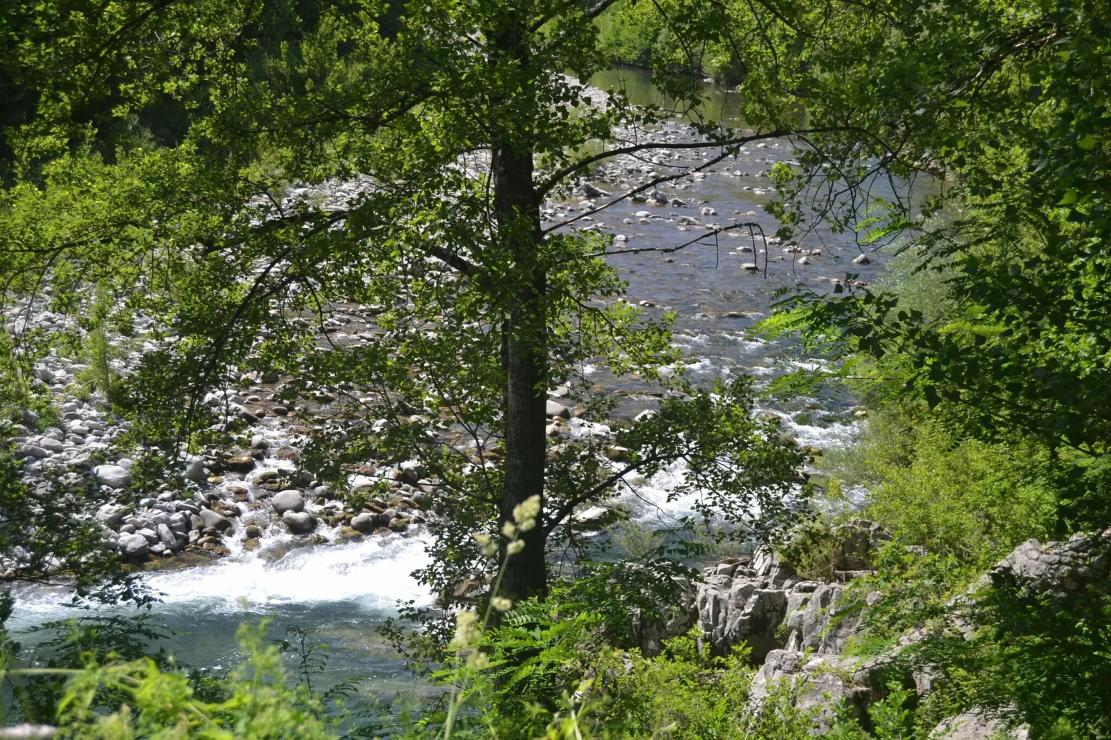 Angie-Gebieden zomer 5km