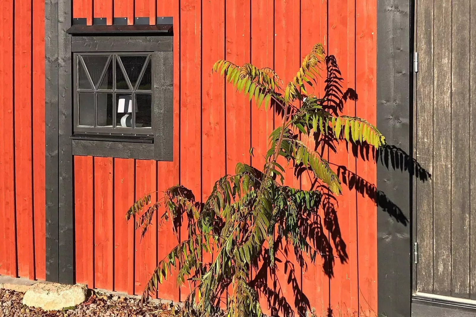 5 sterren vakantie huis in BORGHOLM-By Traum
