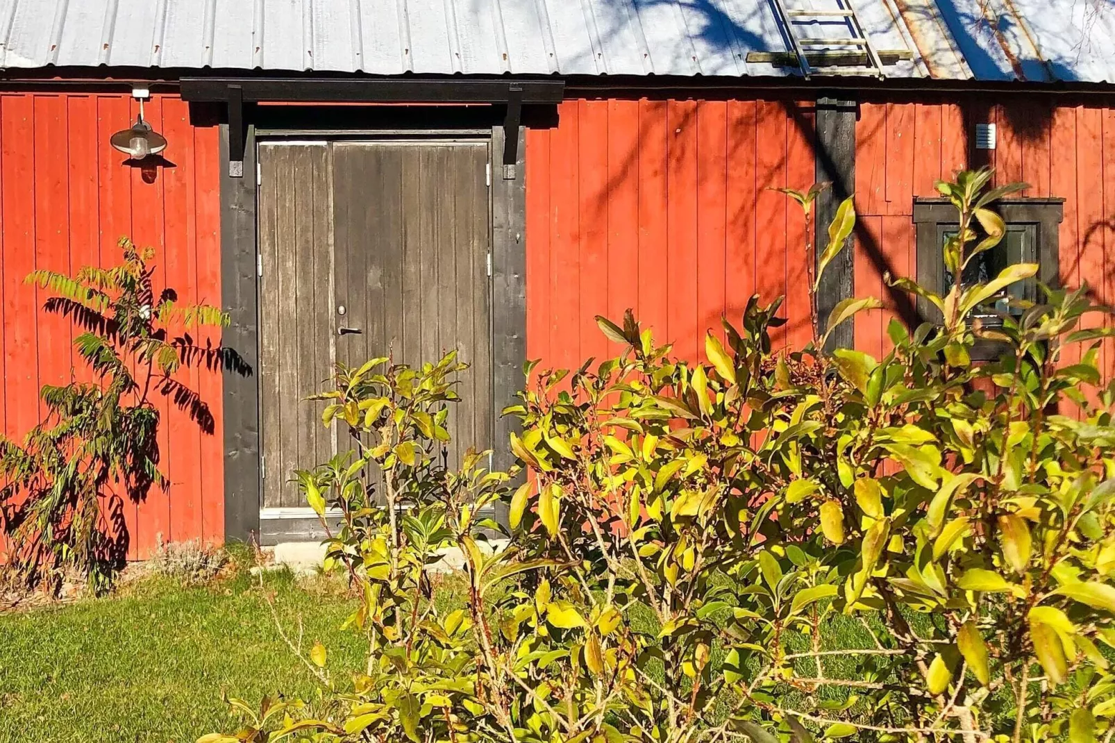 5 sterren vakantie huis in BORGHOLM-By Traum-Buitenlucht