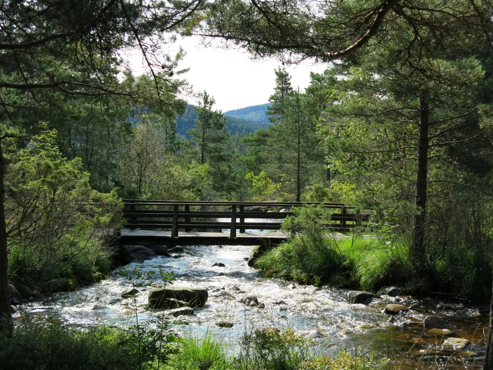 Thorabu-Buiten