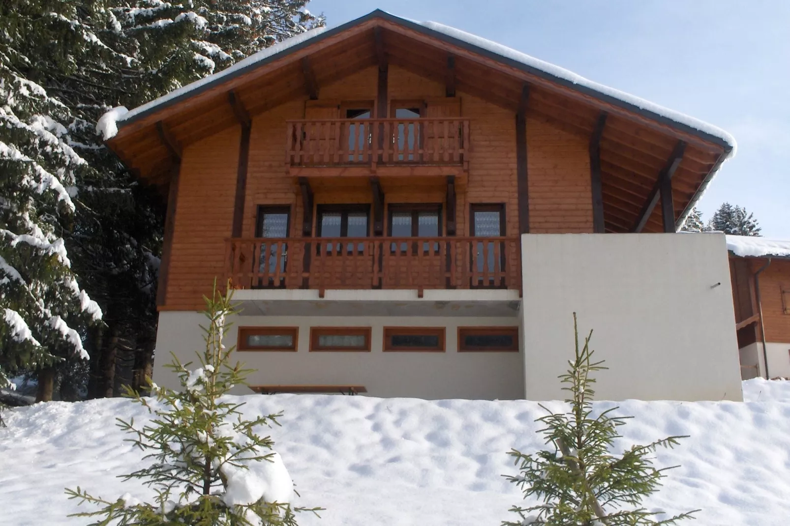 Chalet Sherwood Forest-Exterieur winter