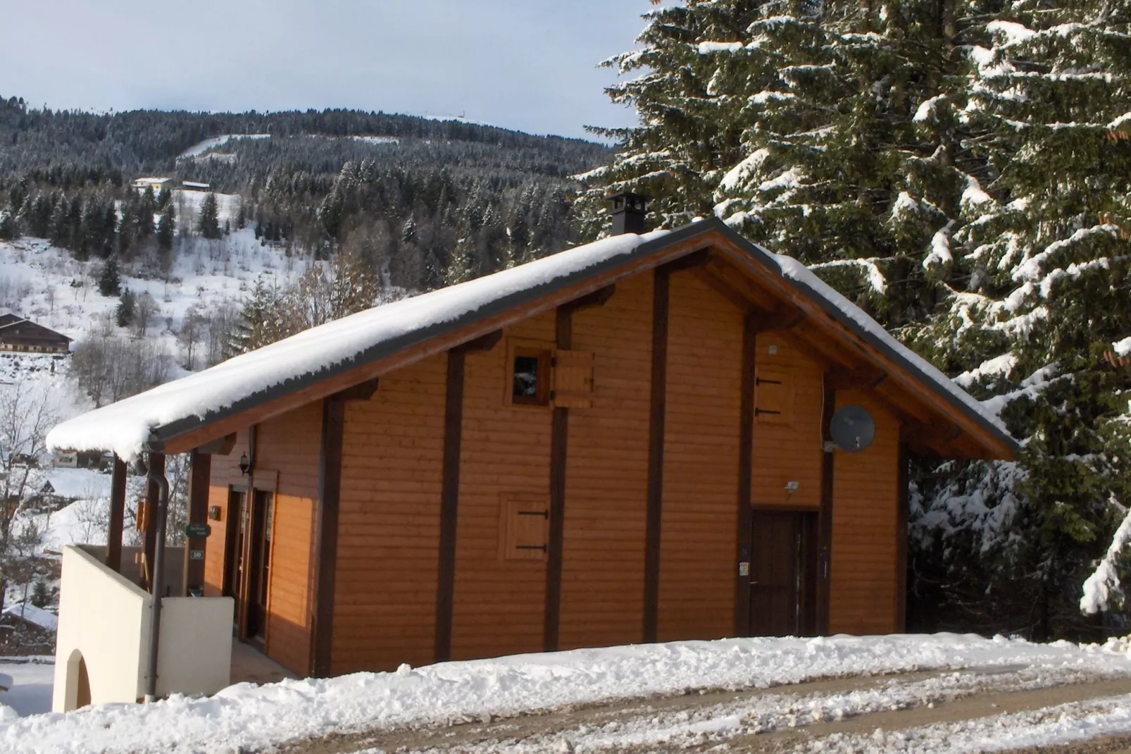 Chalet Sherwood Forest-Exterieur winter