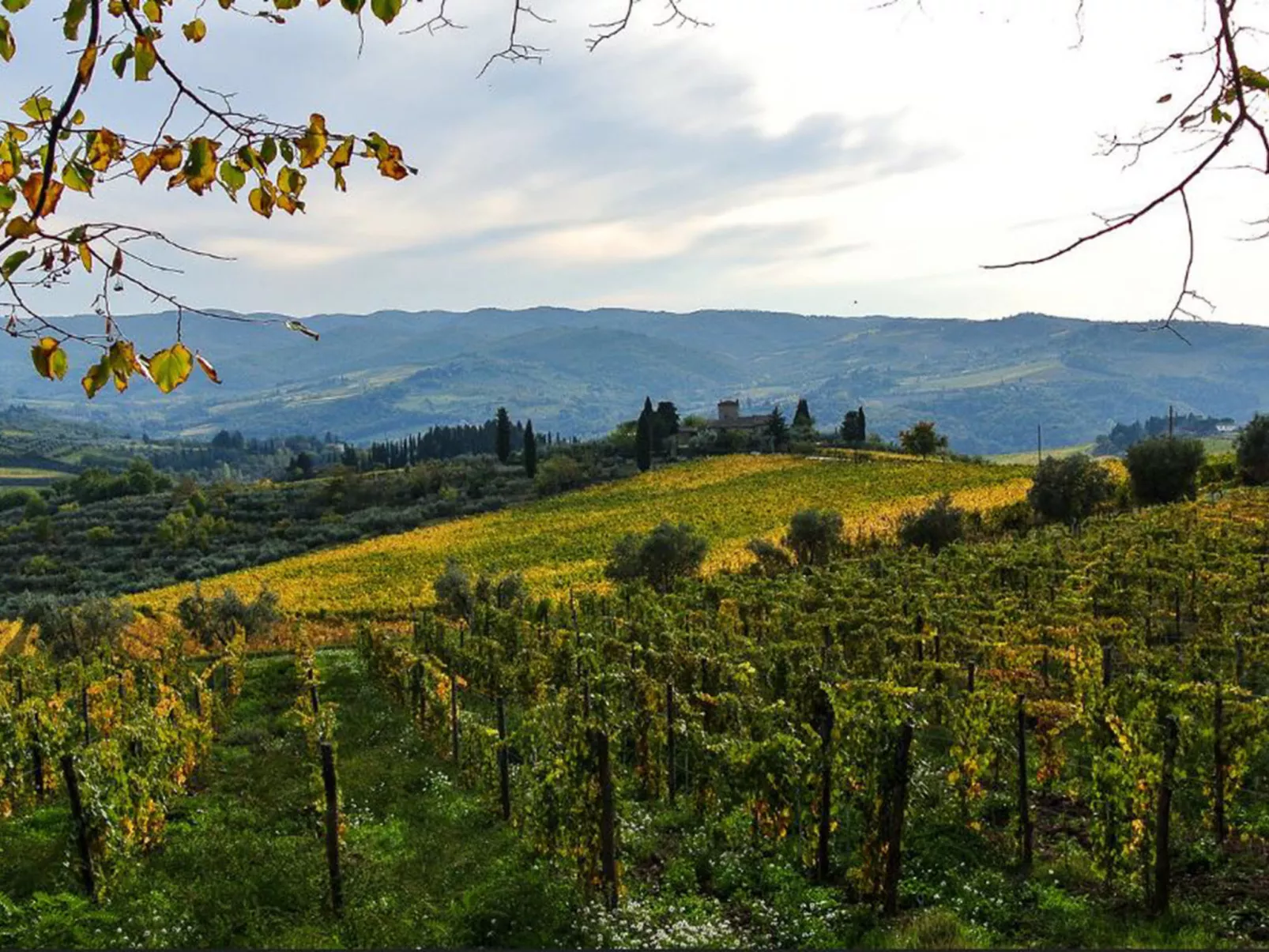 Agriturismo Le Rondini-Omgeving