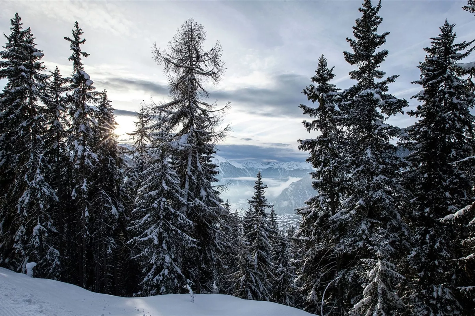 Harmonie-Gebied winter 1km