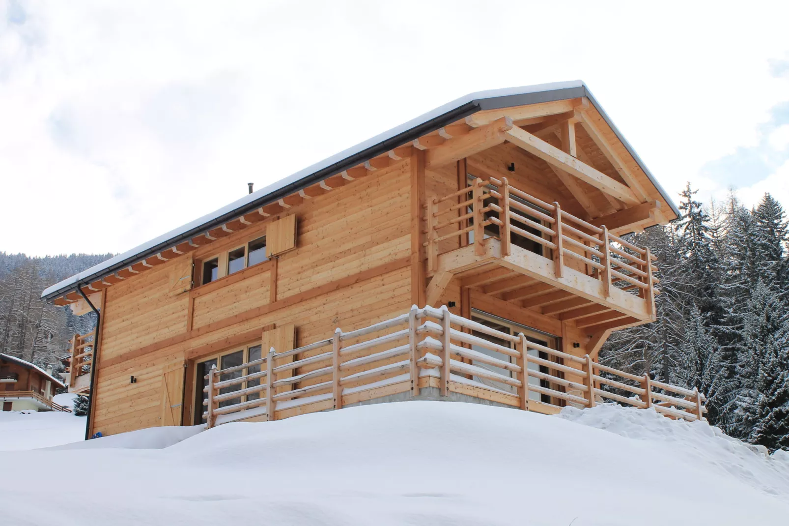 Chalet Panaga-Exterieur winter