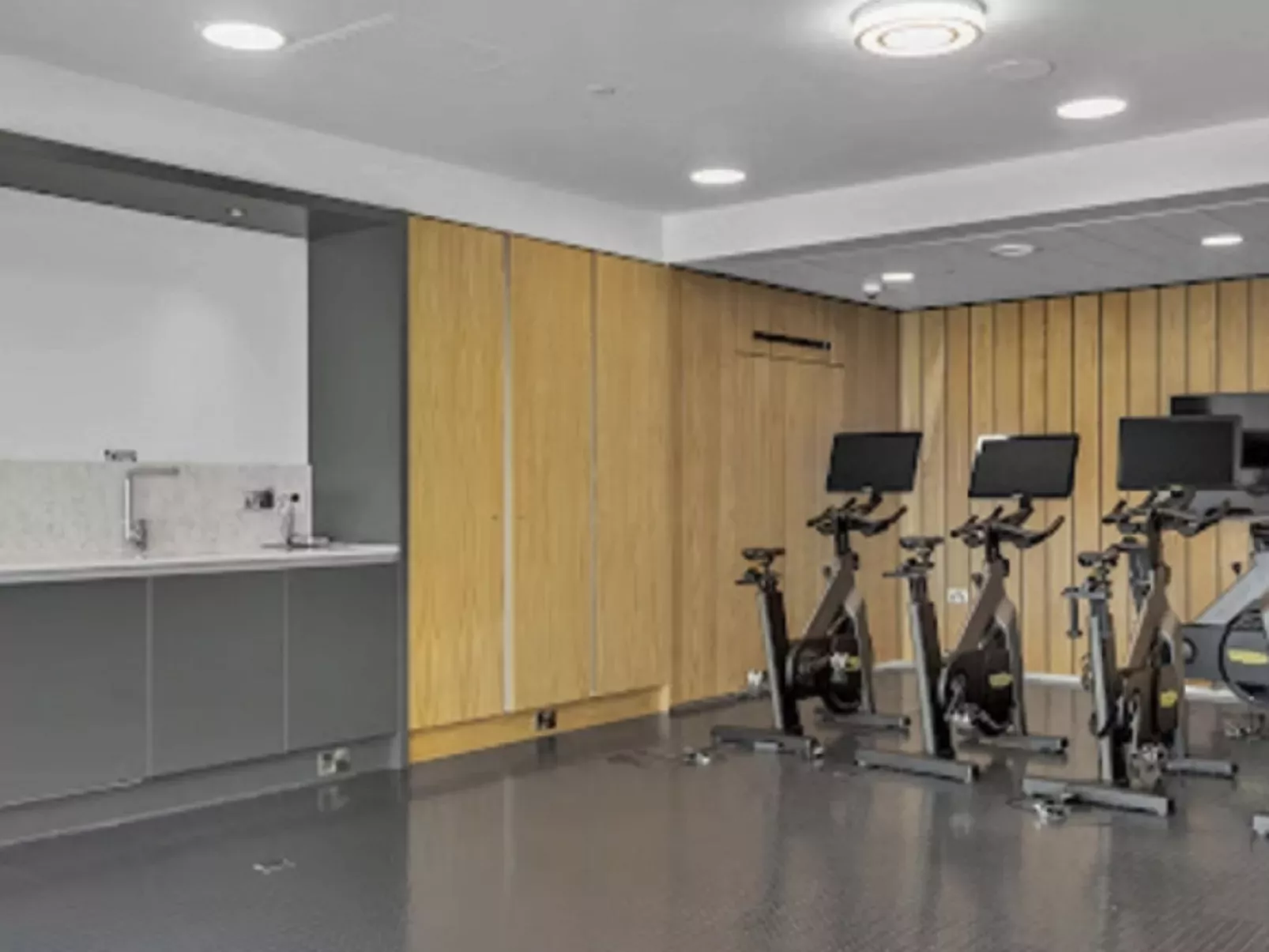 Olympic Way Apt in Wembley Park-Binnen