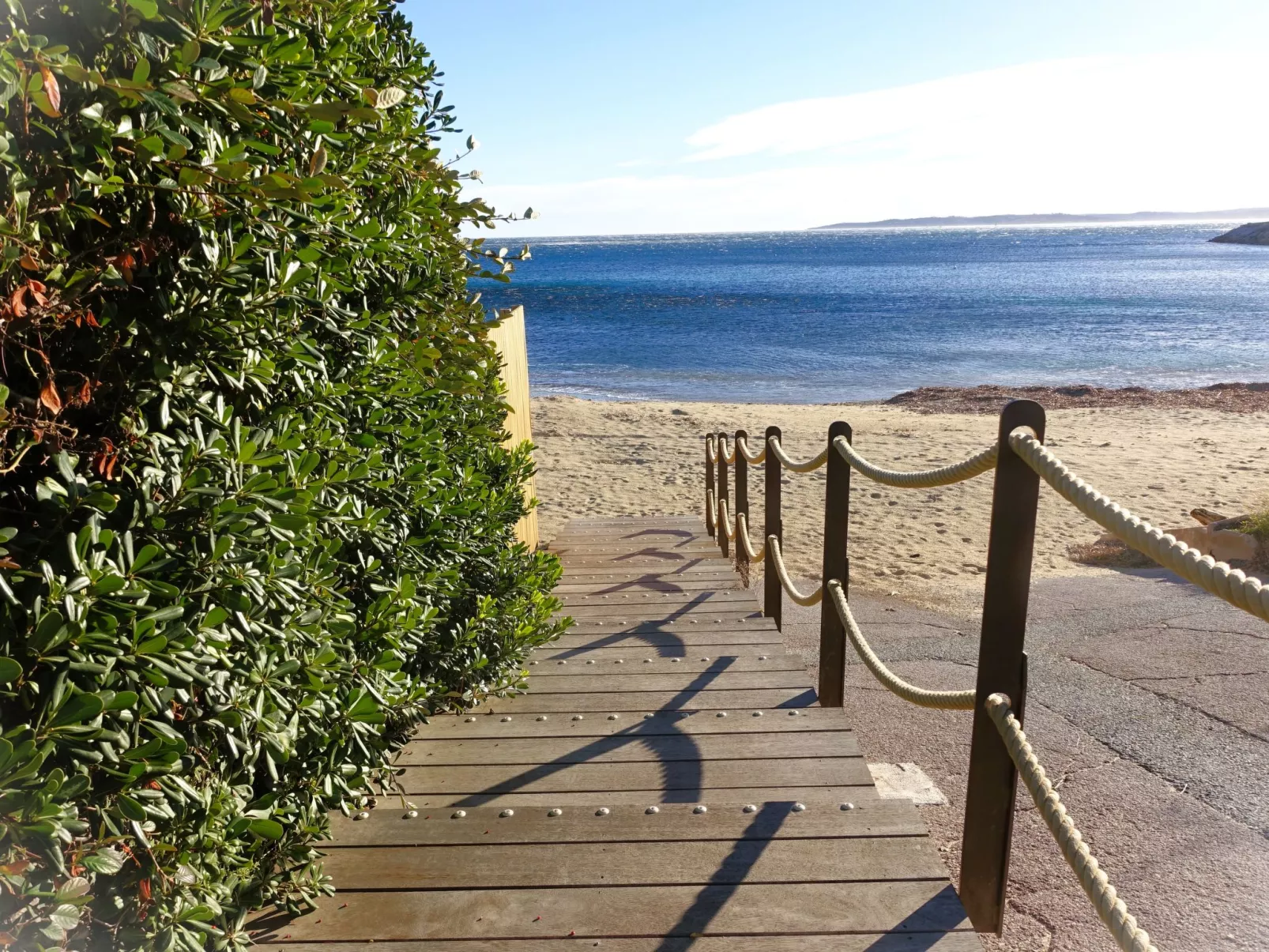 Plein Sud-Omgeving