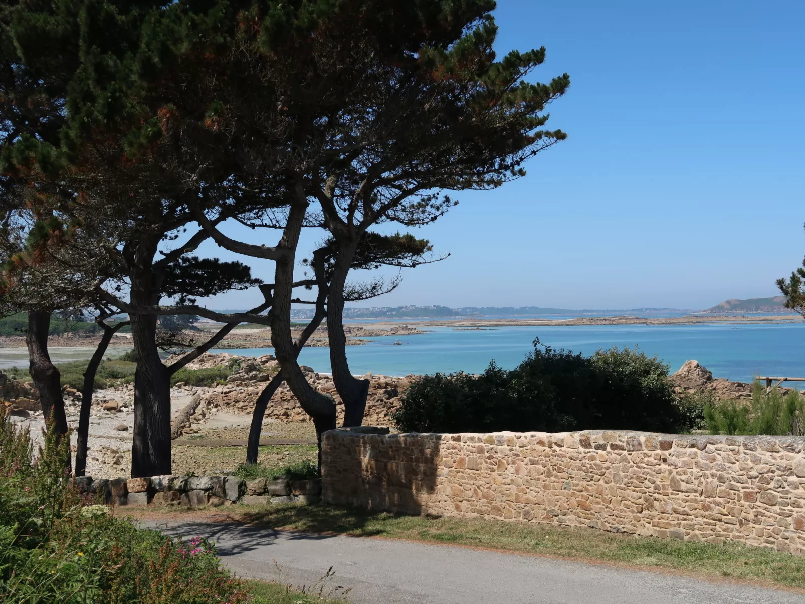 Les Courlis-Omgeving