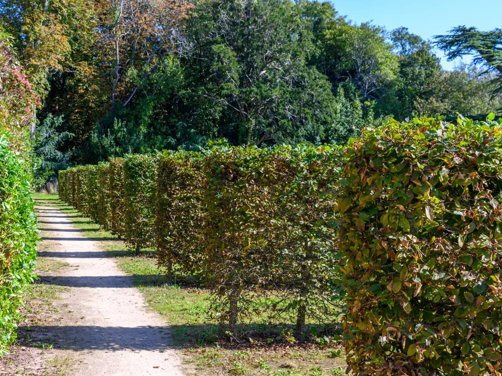 Château De Kergonano,-Buiten