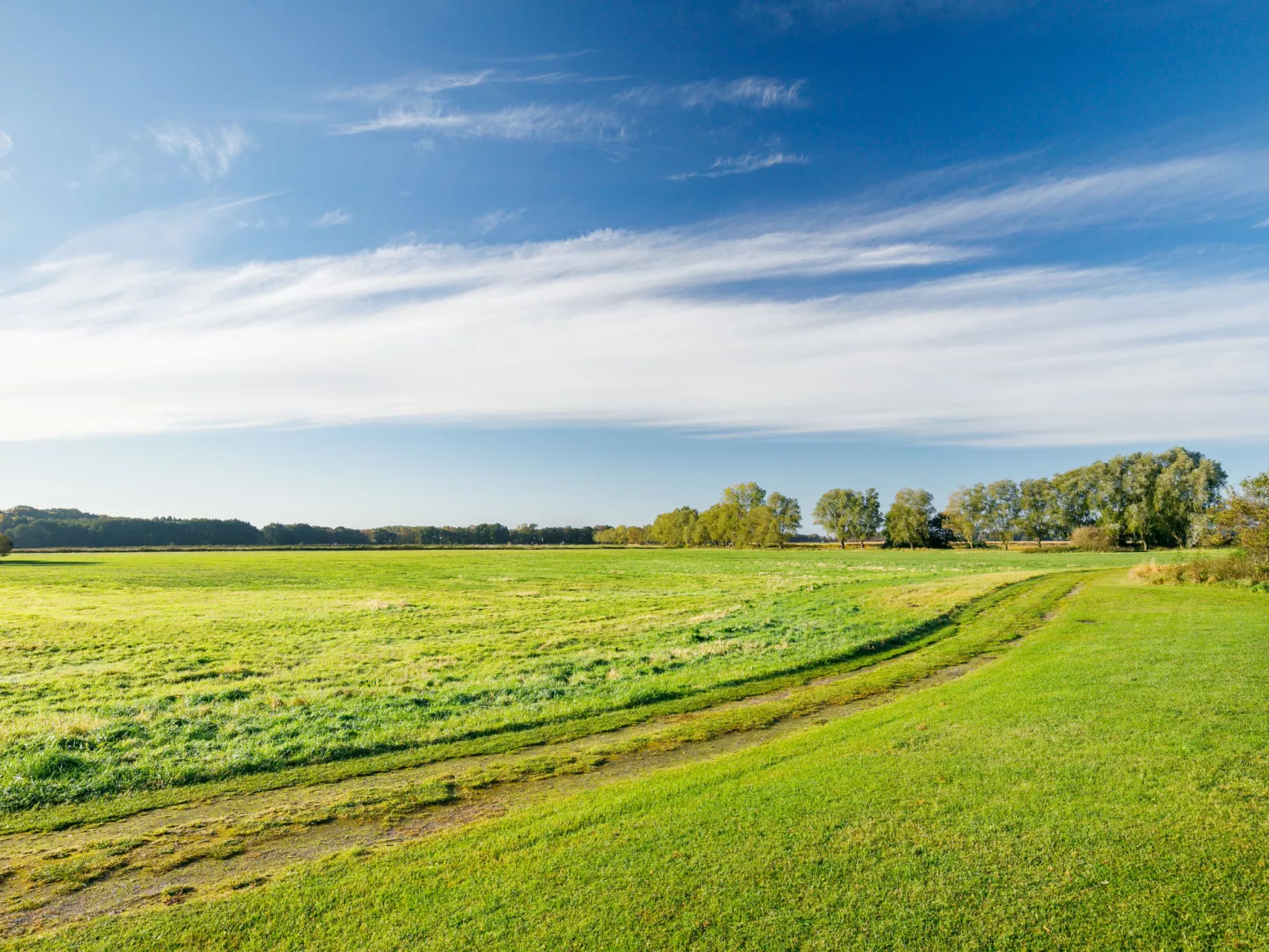 Wiesenblick-Buiten