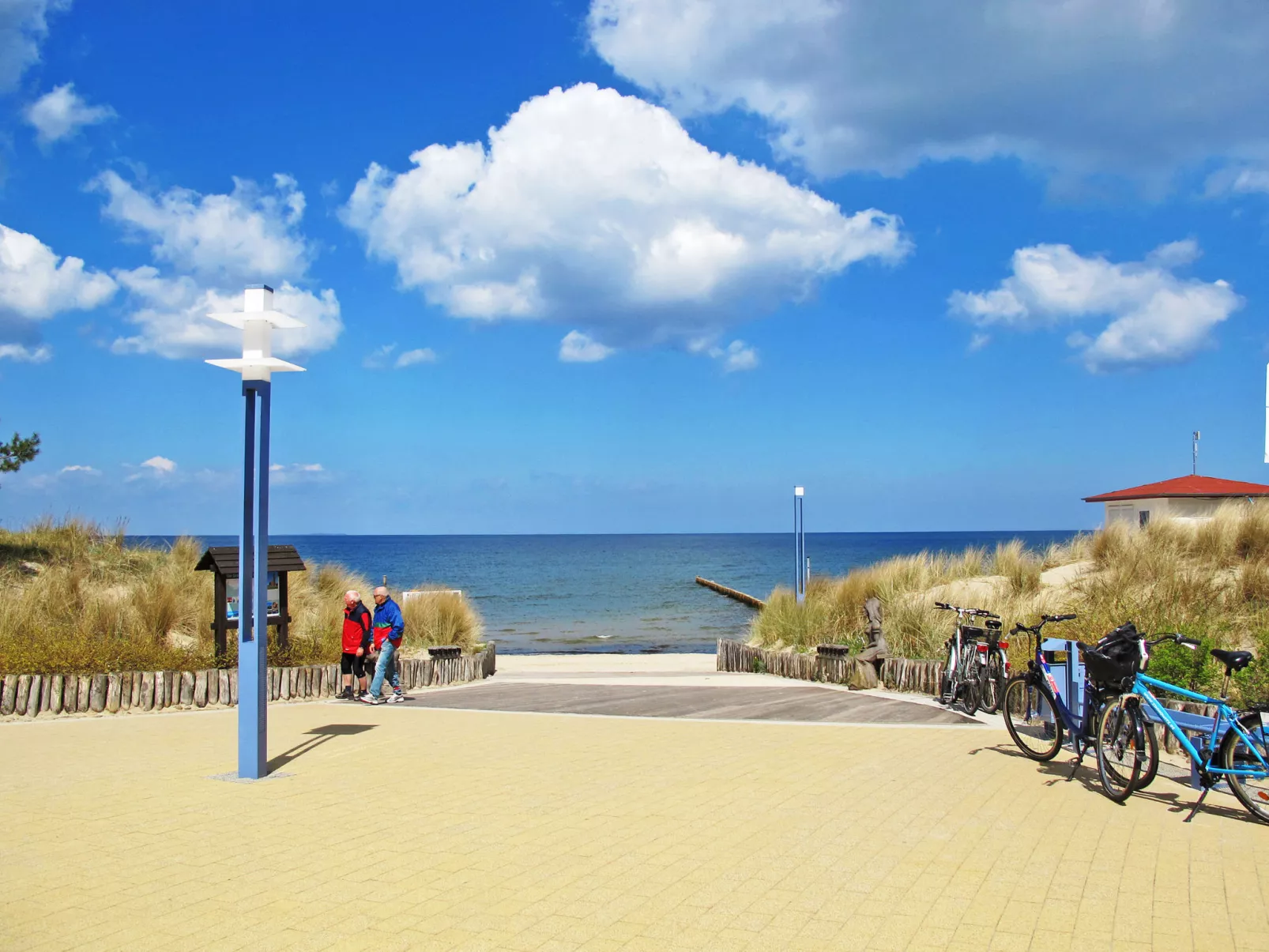 Hortensie-Omgeving
