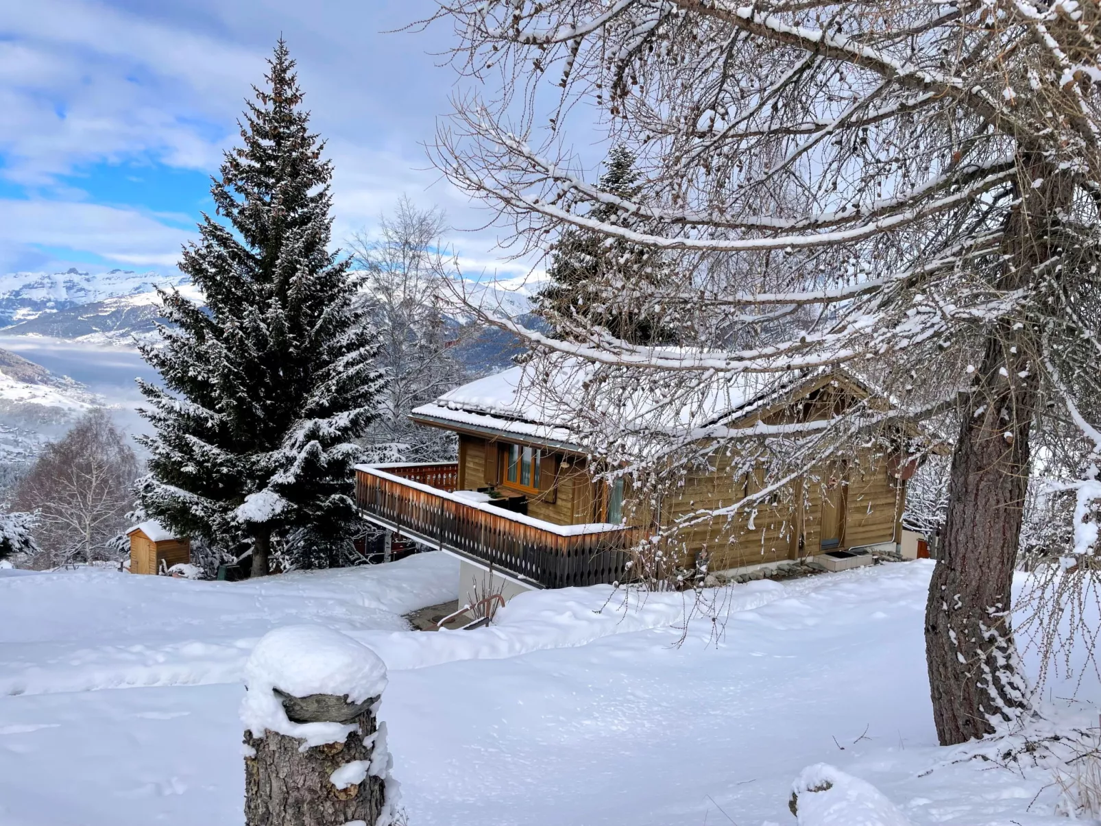 Chalet Larix-Buiten