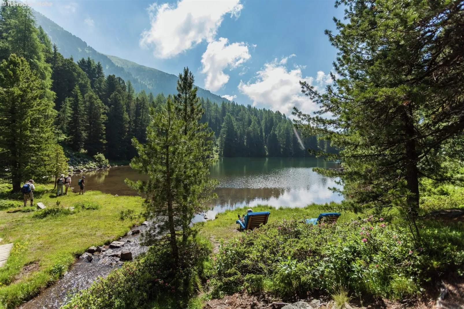 Alpenpark Turrach 14-Gebieden zomer 5km