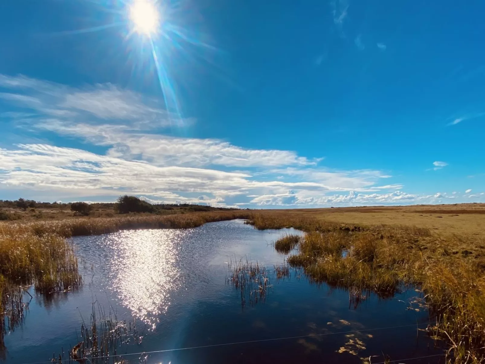 "Blakke" - 200m from the sea-Buiten
