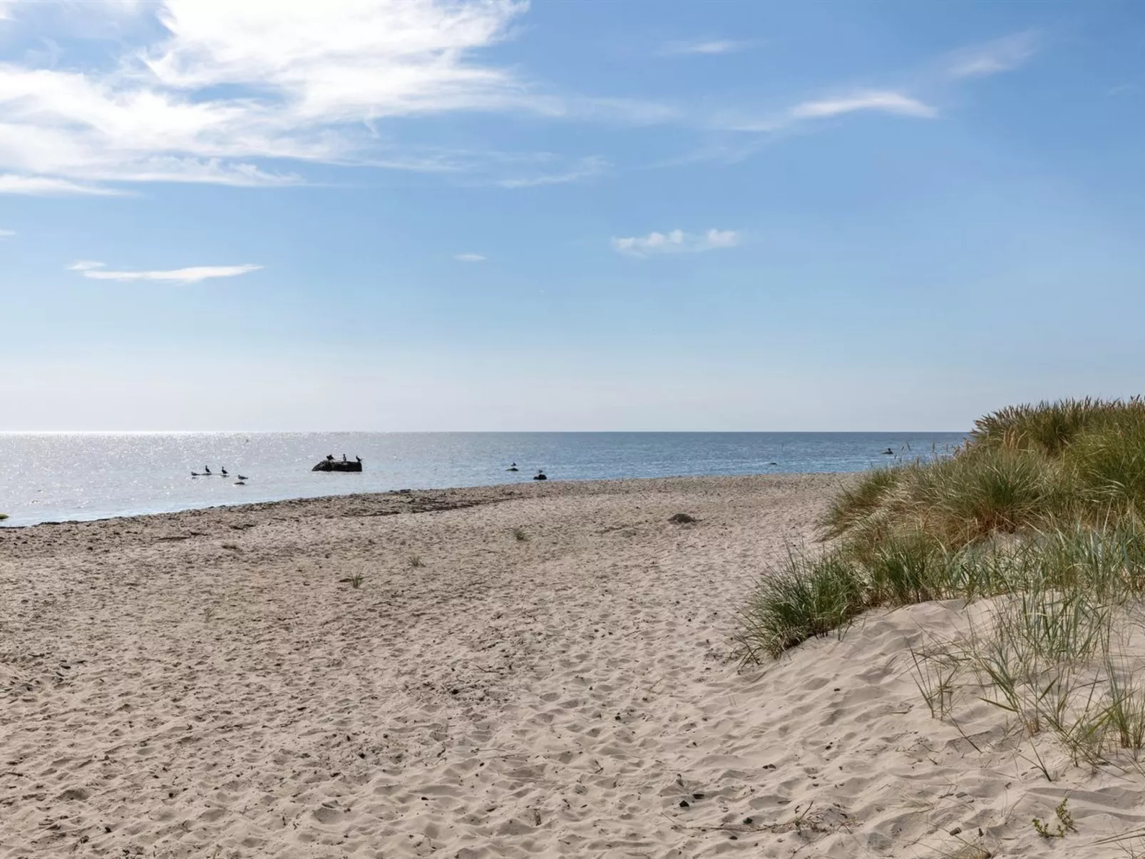 "Solfred" - 200m from the sea