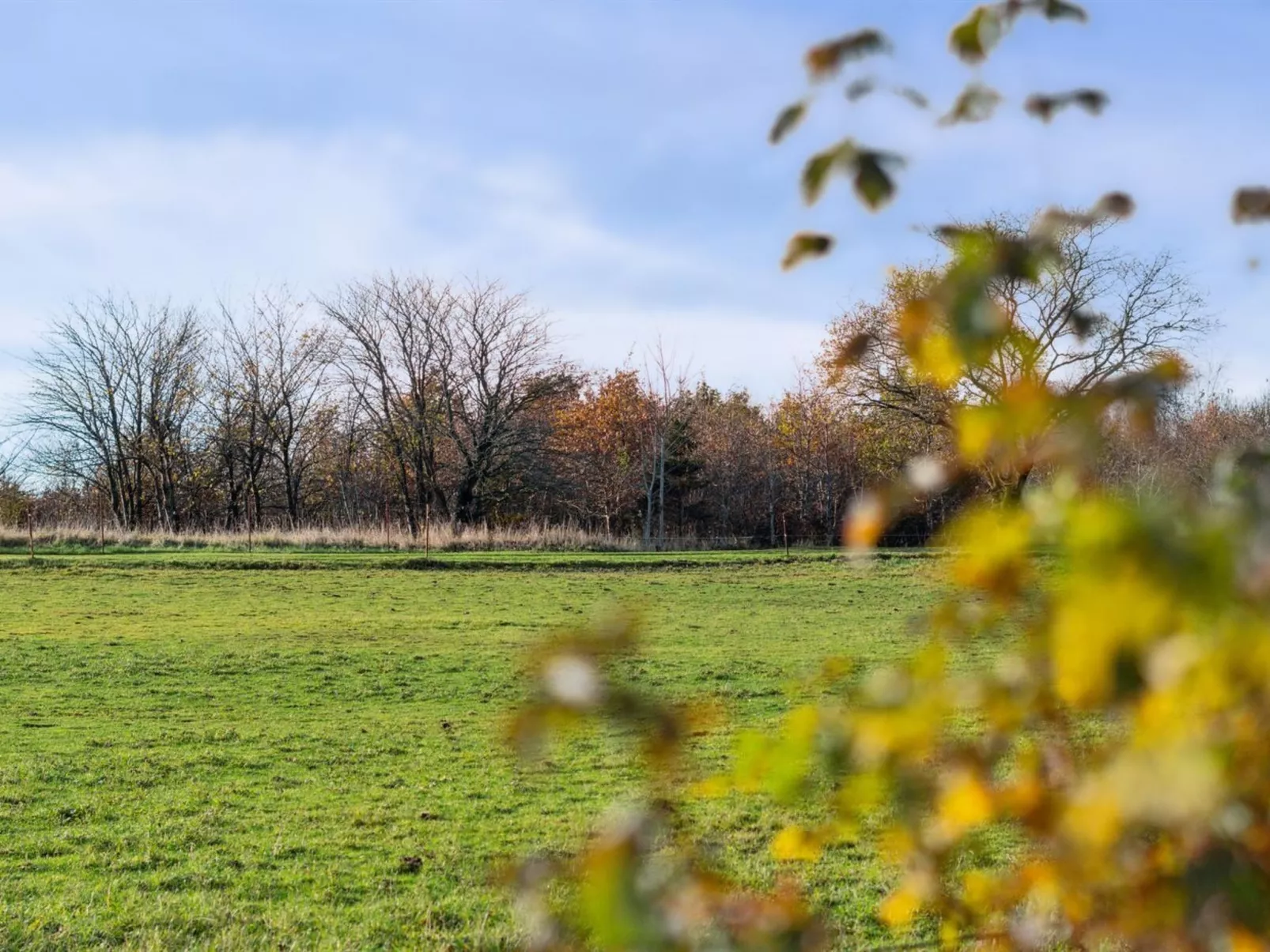 "Adrienne" - 6.4km from the sea-Buiten