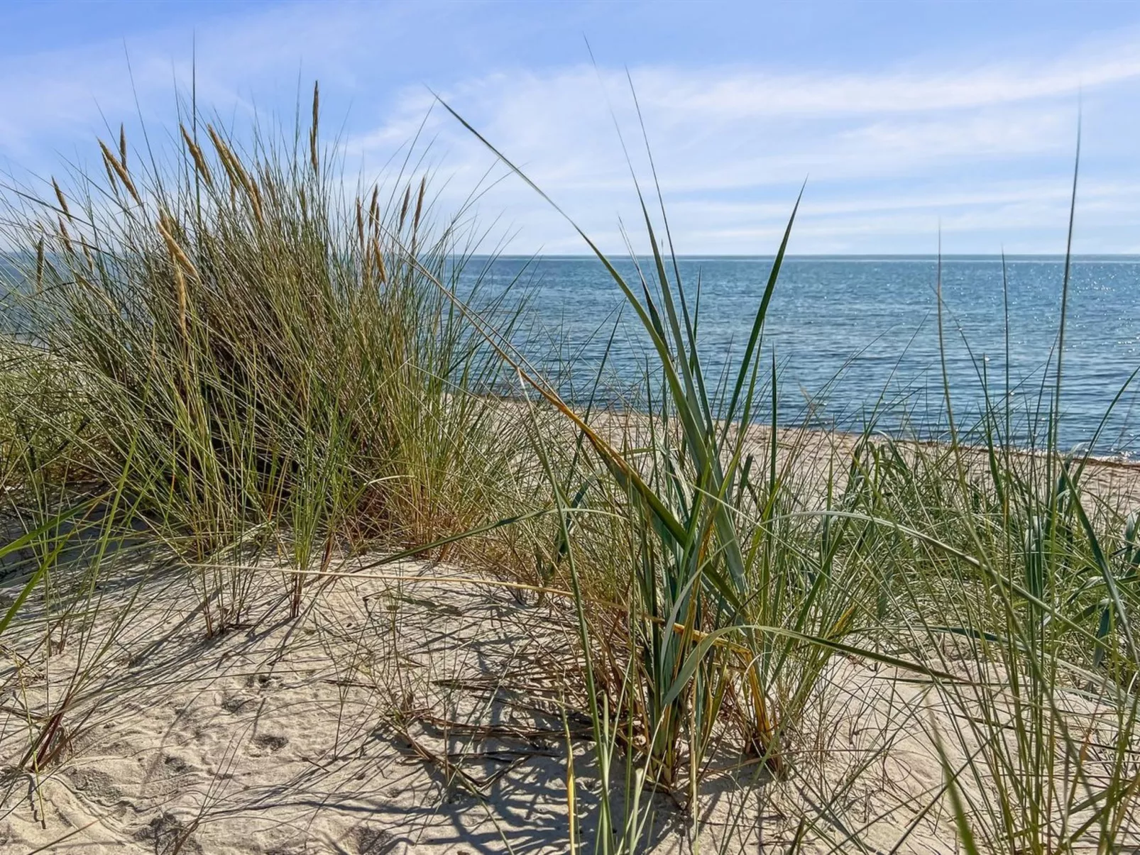 "Reinke" - 450m from the sea