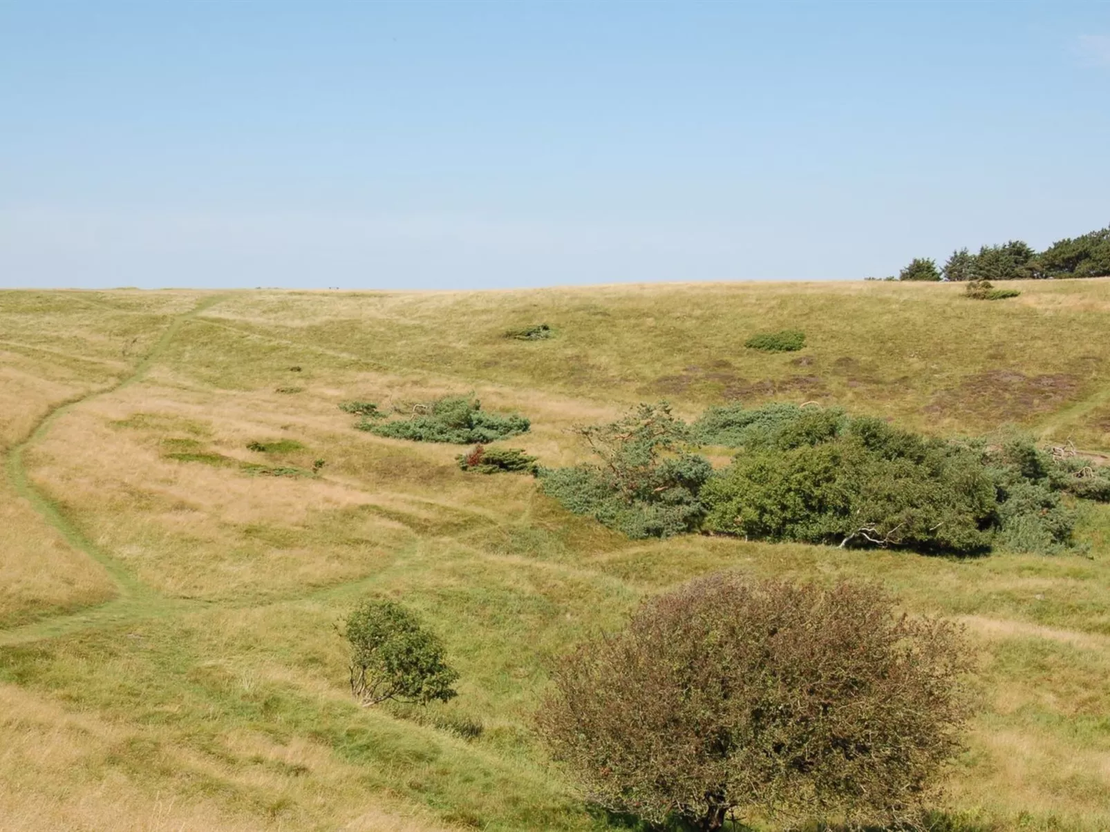 "Jonce" - 250m from the sea-Buiten
