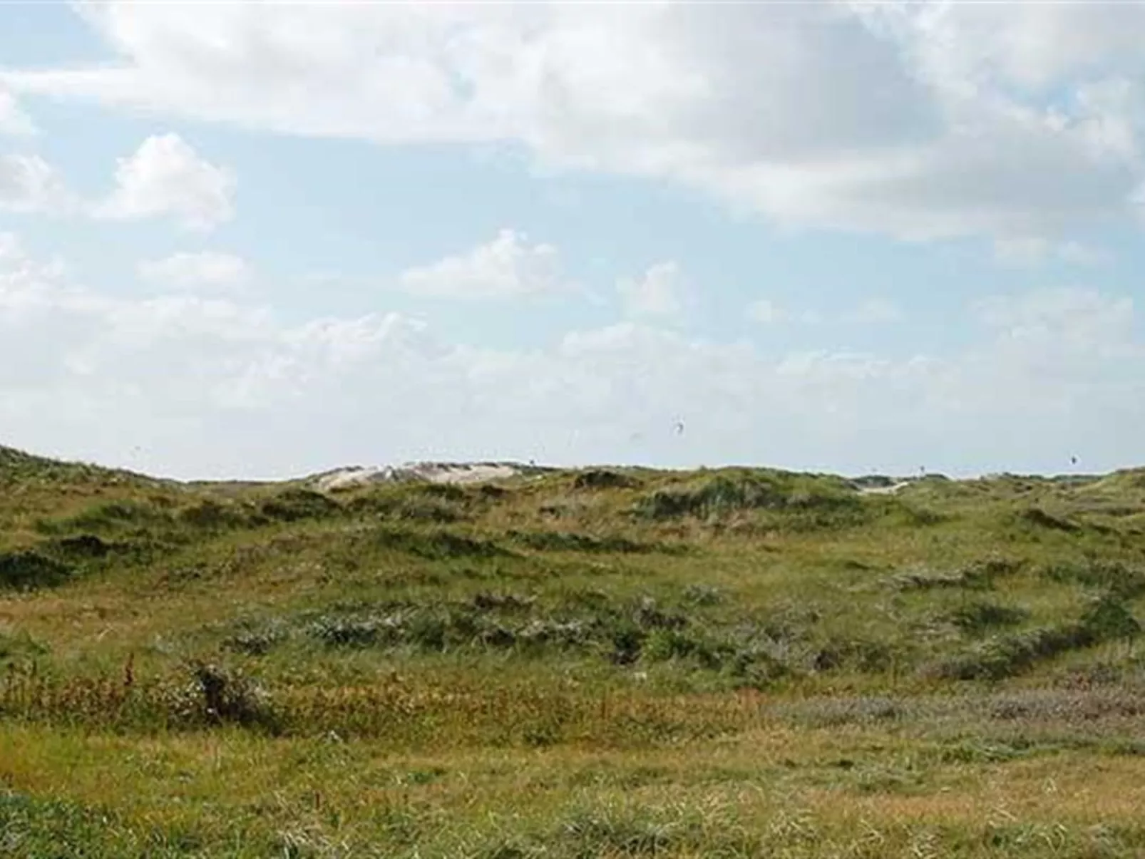 "Gunnlaug" - 500m from the sea-Binnen