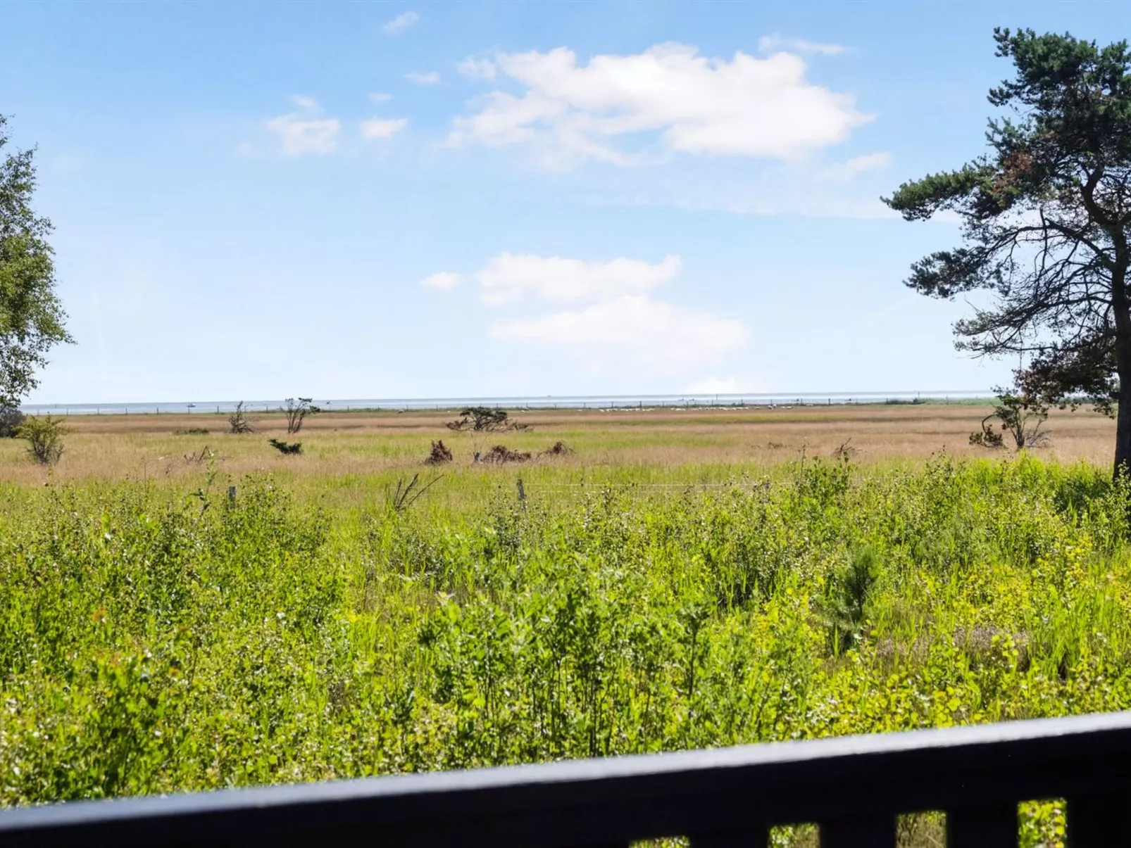 "Griselda" - 400m from the sea-Buiten