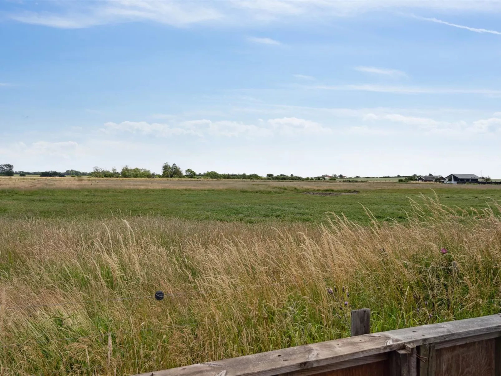 "Lippi" - 125m from the sea-Buiten