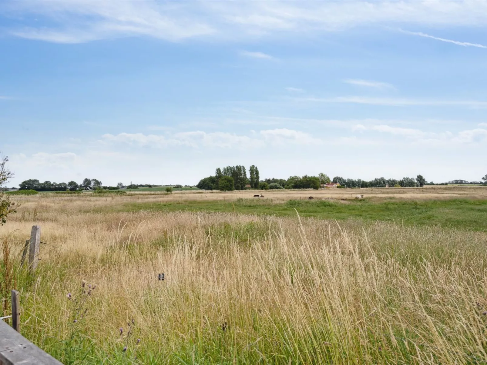 "Lippi" - 125m from the sea-Buiten