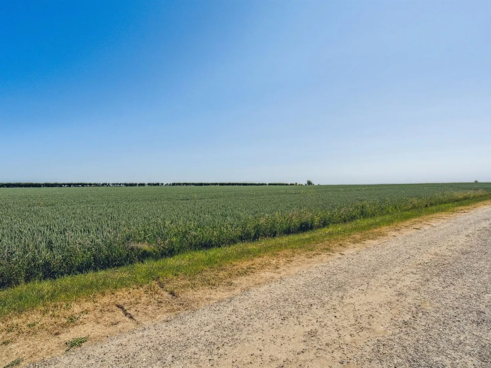 "Anella" - 200m from the sea-Buiten