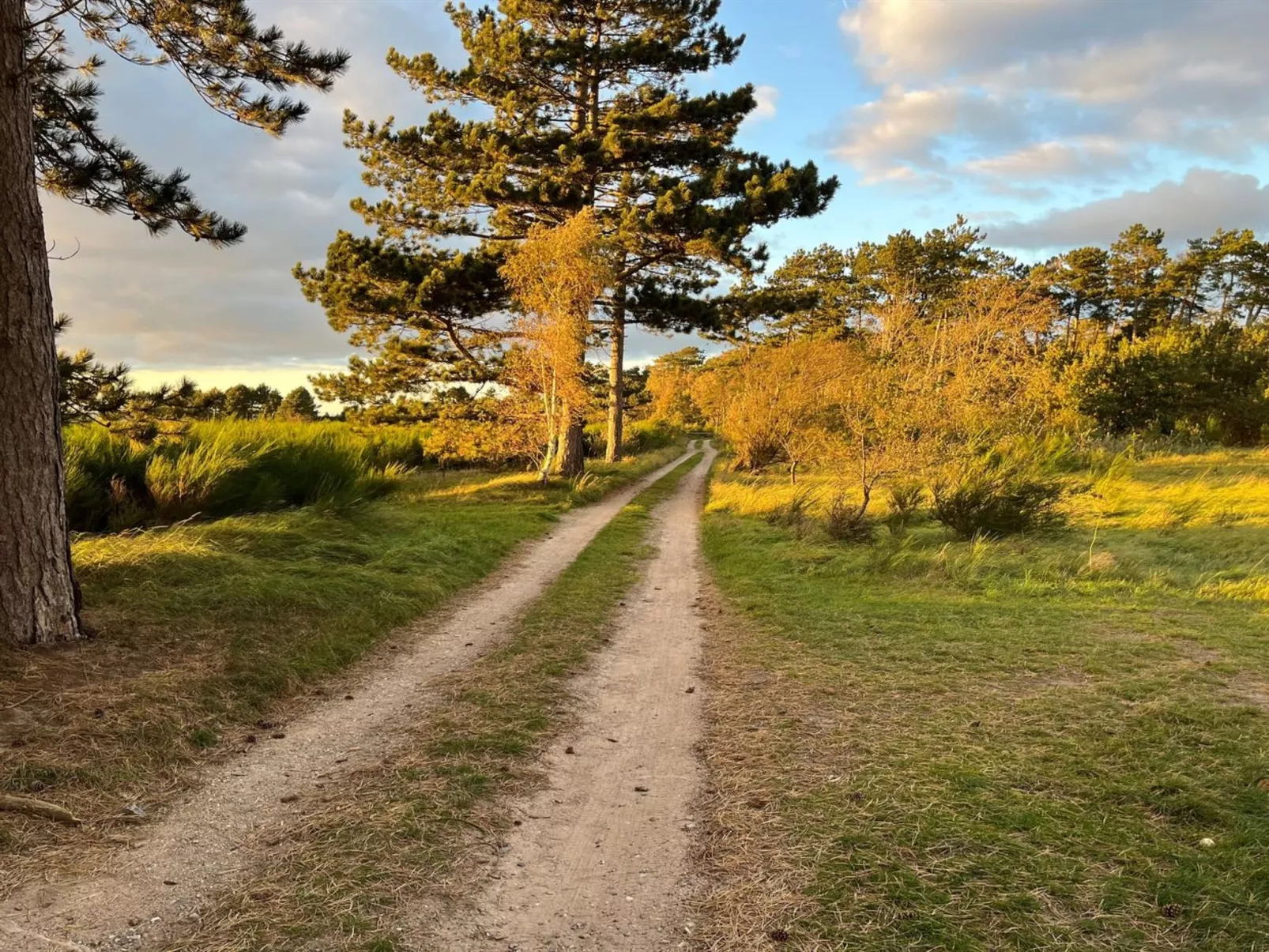 "Fietje" - 200m from the sea-Buiten