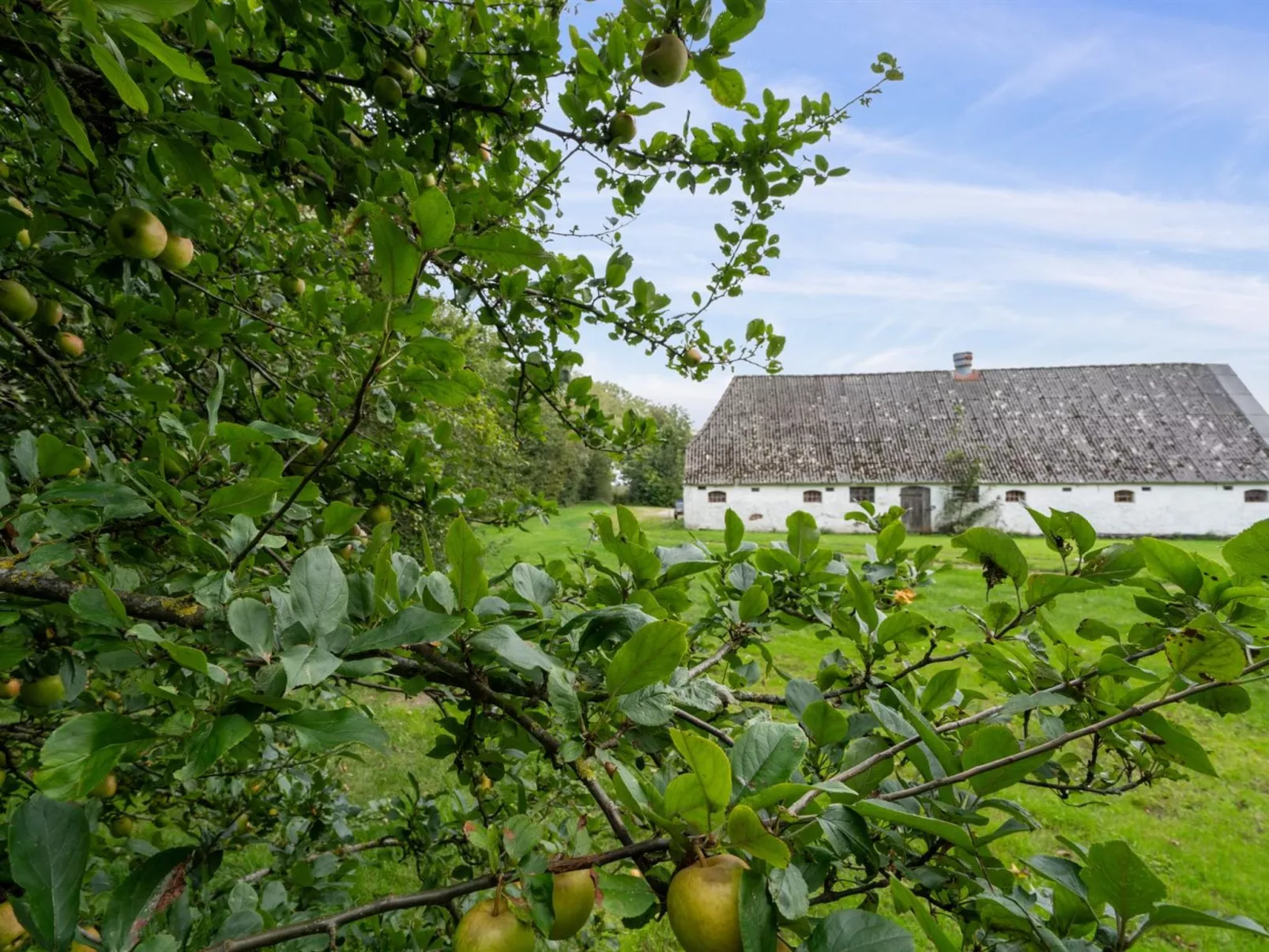 "Landuin" - 30km from the sea-Buiten