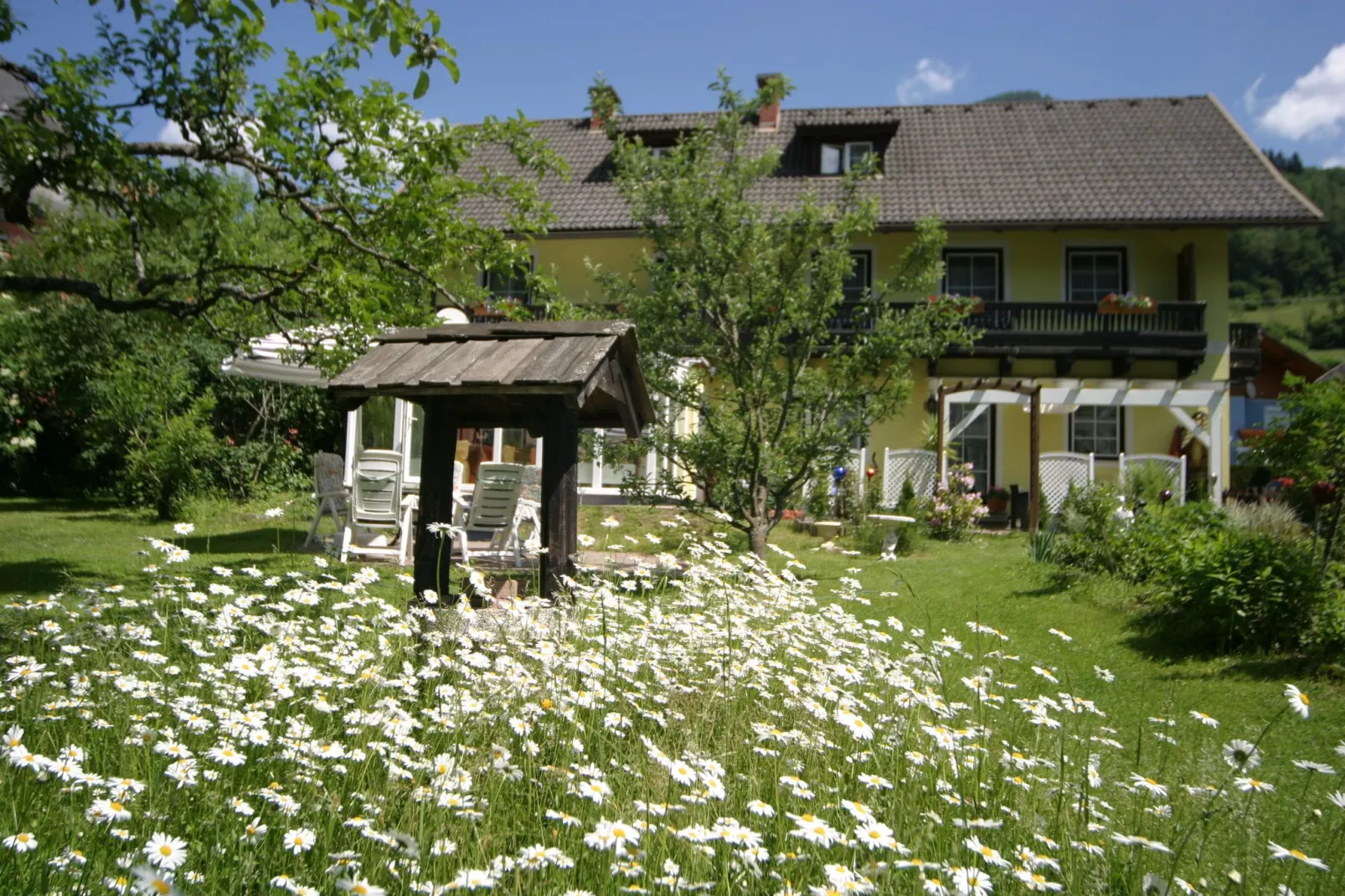 Apartment Hannelore B / 4 P-Tuinen zomer