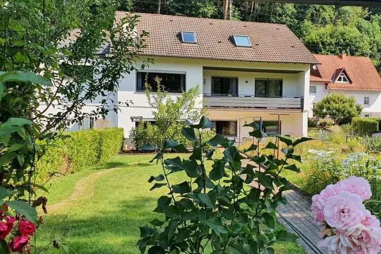344669-Uitzicht