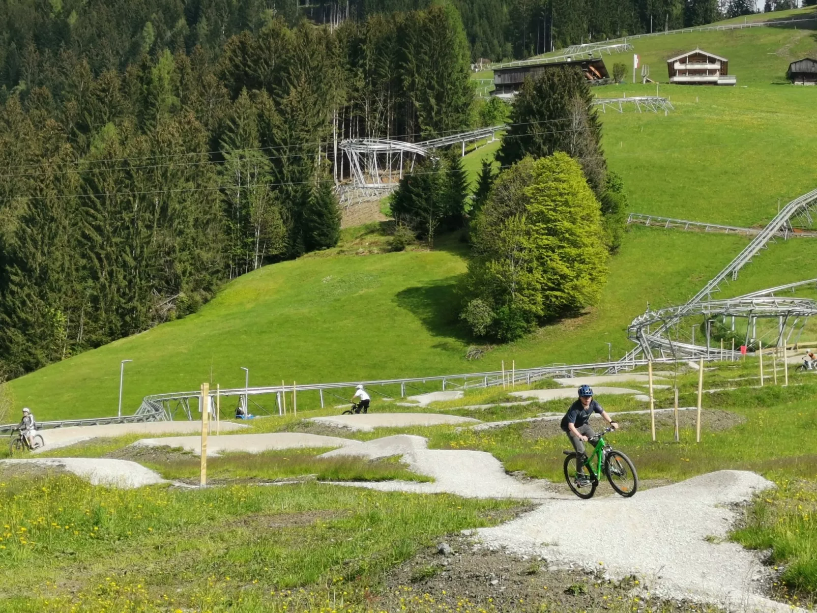 Chalet Holzerjuwel-Omgeving