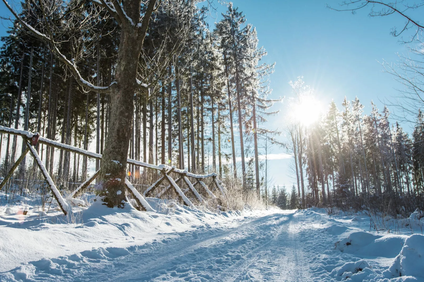 Lipno Nova Lake Resort B-Gebied winter 5km