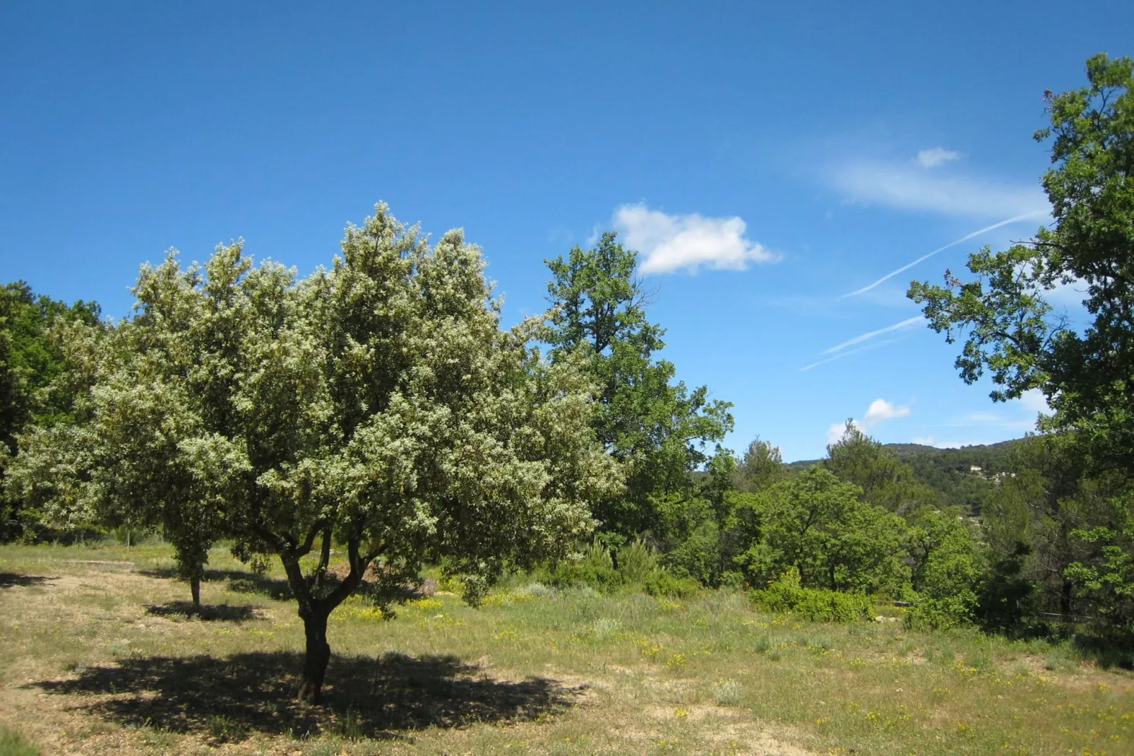 La Bastide Clémentine - Gebieden zomer 5km