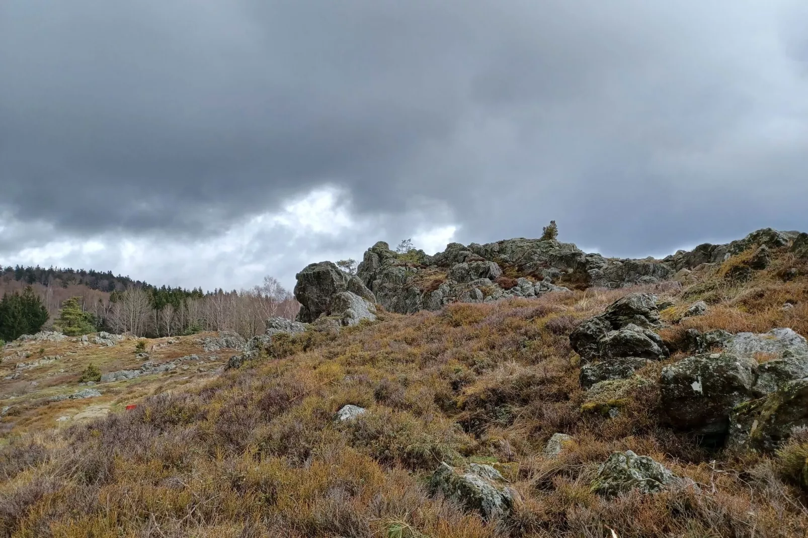 Am Hochfels-Niet-getagd