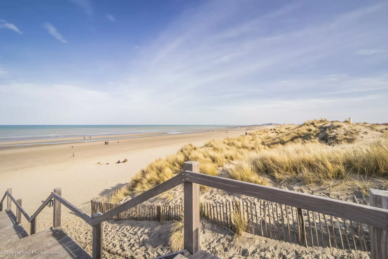 SEASIGHT A 1 / 0001-Gebieden zomer 5km